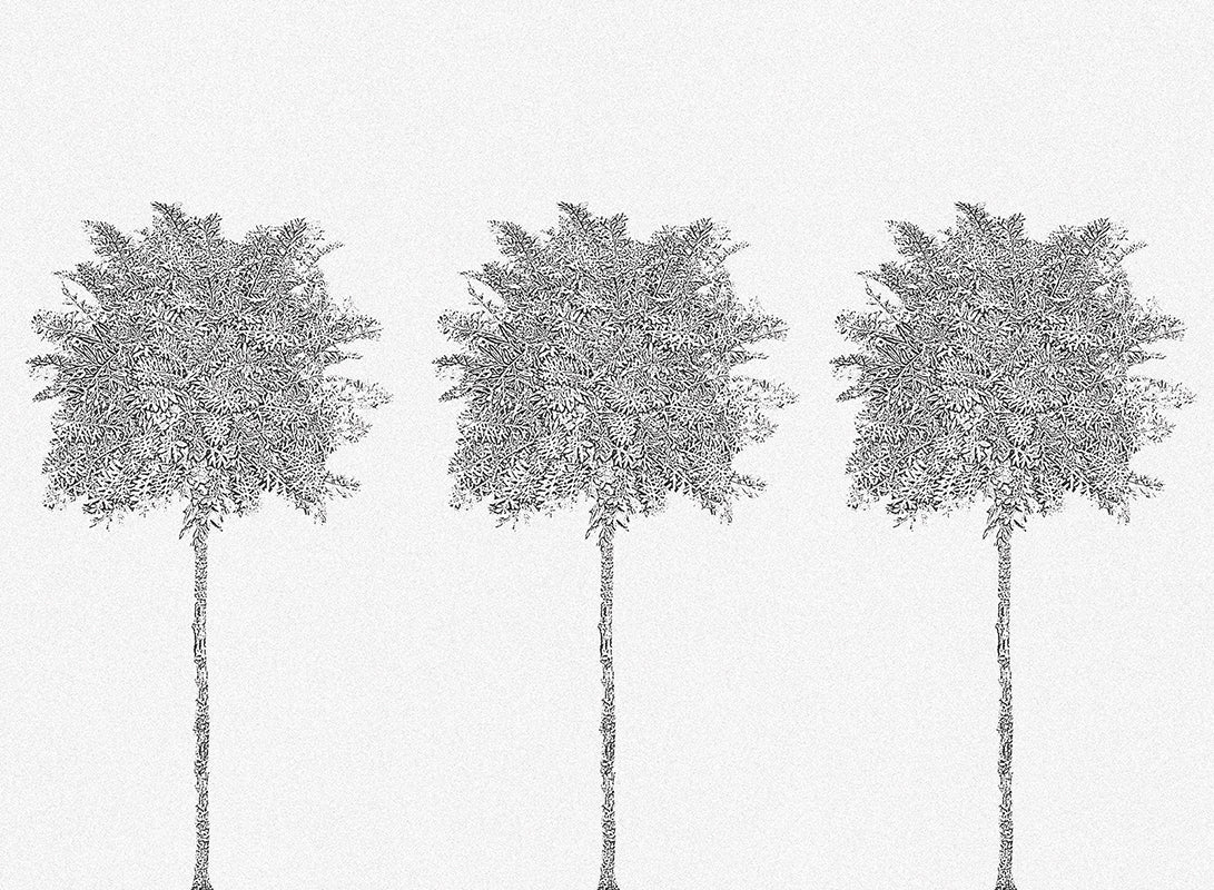 Trees - papel de colgadura LondonArt 19036