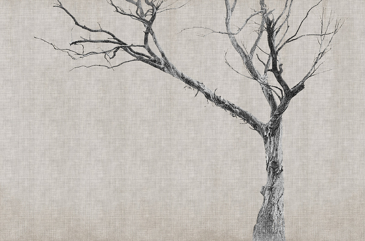 Brambles - papel de colgadura LondonArt 13BR