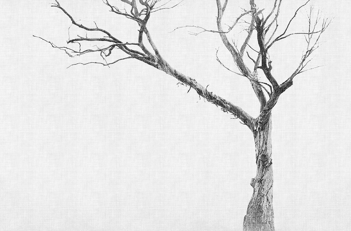 Brambles - papel de colgadura LondonArt 13BR
