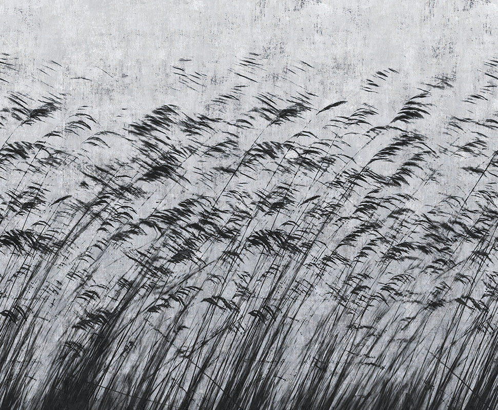 Gone with the wind - papel de colgadura LondonArt 15134