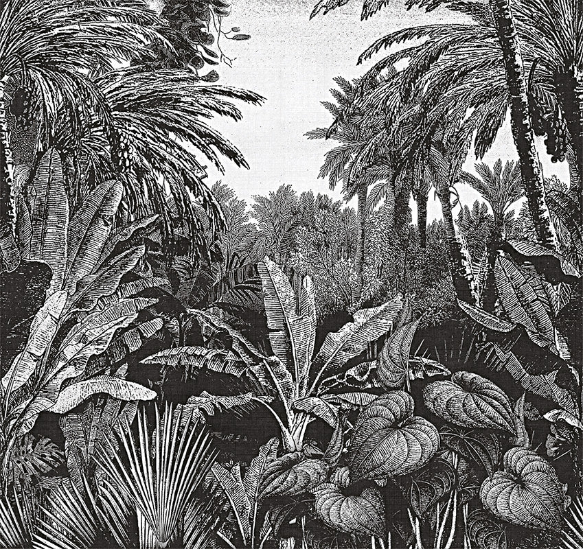 Tropical mornings - papel de colgadura LondonArt 17016