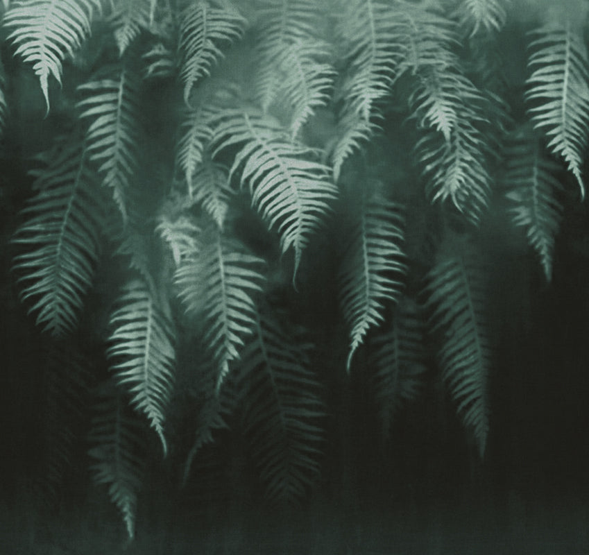 The breath of ferns - papel de colgadura LondonArt 18517