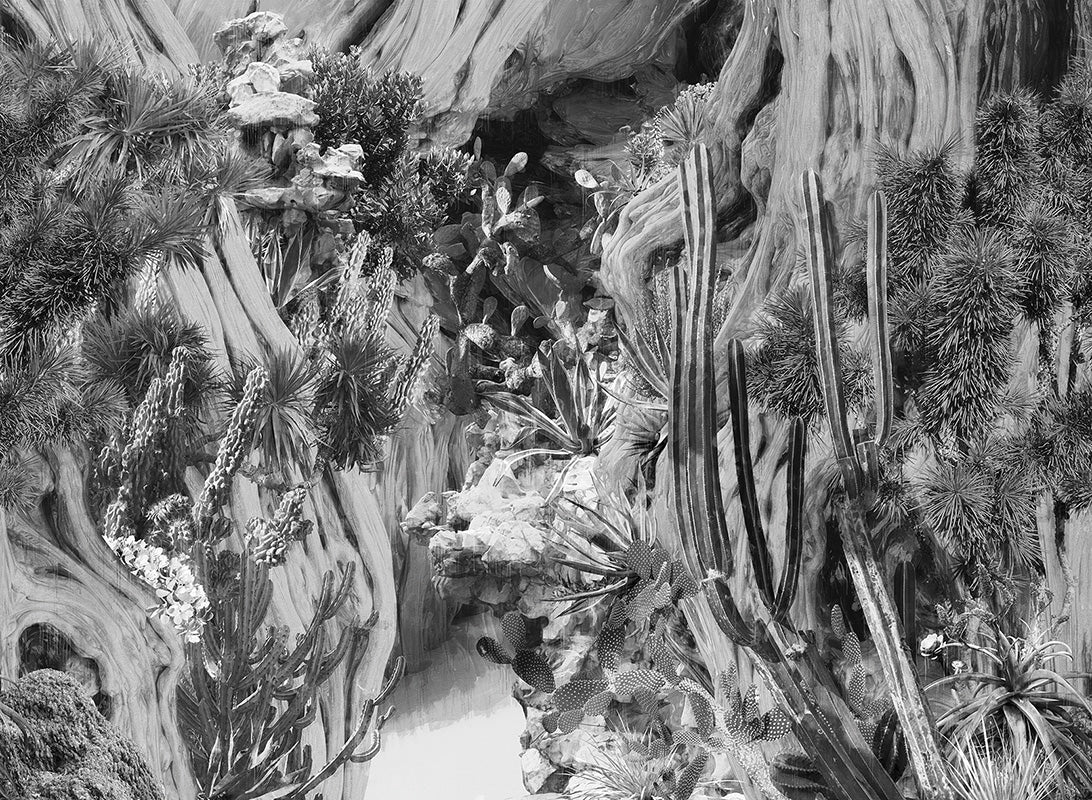 Navajo dream - papel de colgadura LondonArt 21010