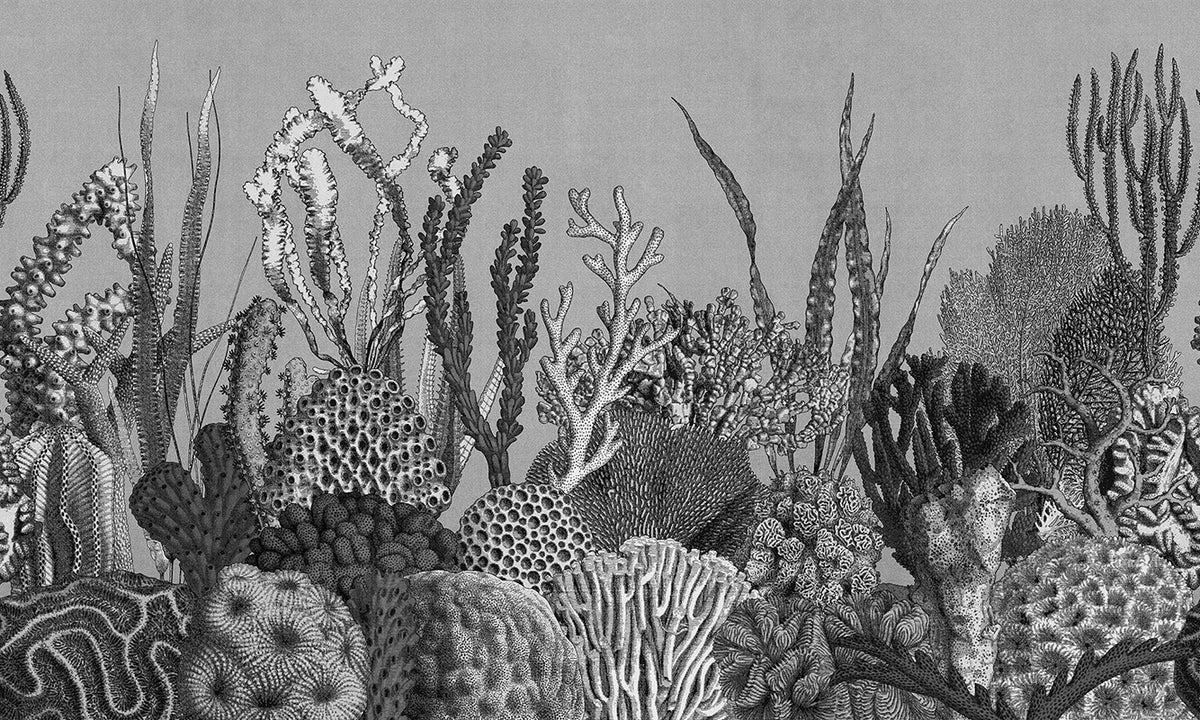 See Sea - papel de colgadura LondonArt 21044