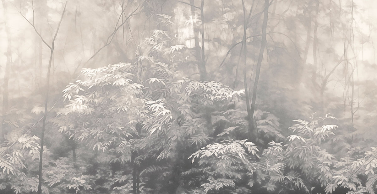 Into The Woods - papel de colgadura LondonArt 24019