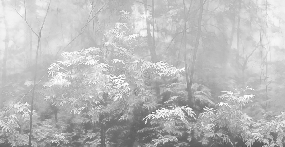 Into The Woods - papel de colgadura LondonArt 24019