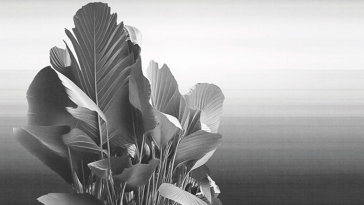 Etherea - papel de colgadura LondonArt 25001