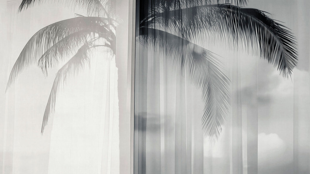 Soft Meridian - papel de colgadura LondonArt 25002