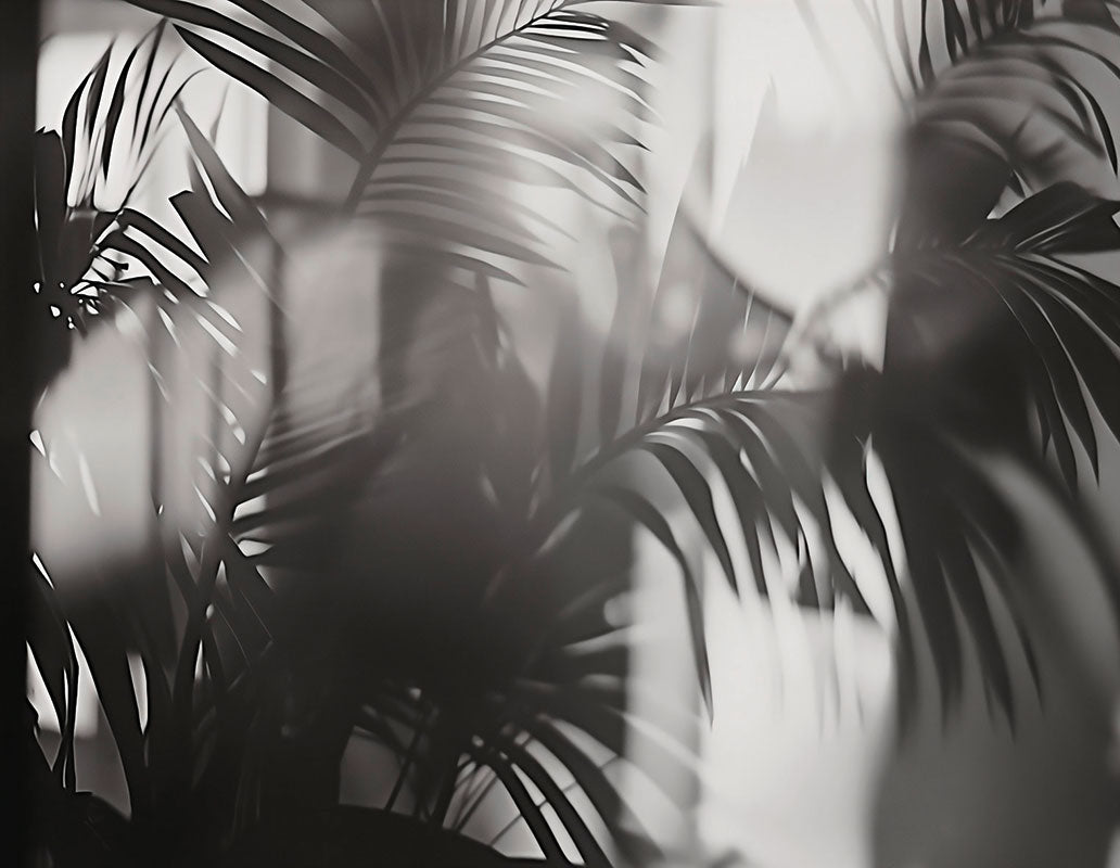 Linear Palms - papel de colgadura LondonArt 25016