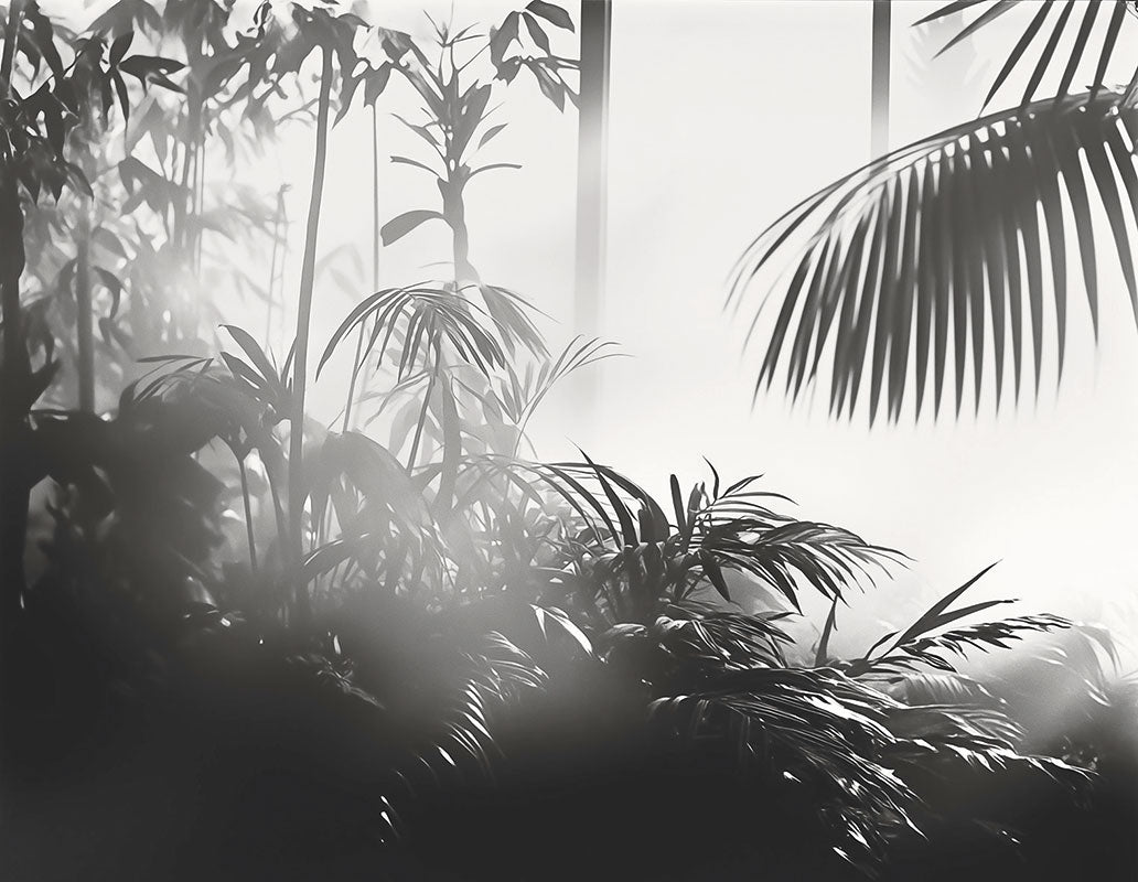 Linear Palms - papel de colgadura LondonArt 25016